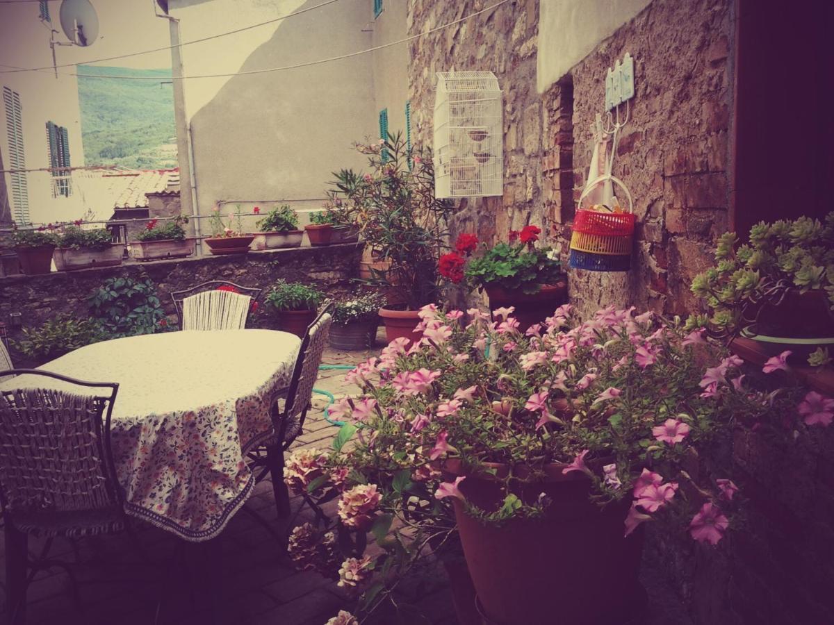 Apartamento Dimora Toscana Seggiano Exterior foto